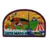 Leste mato-grossense - AVT
