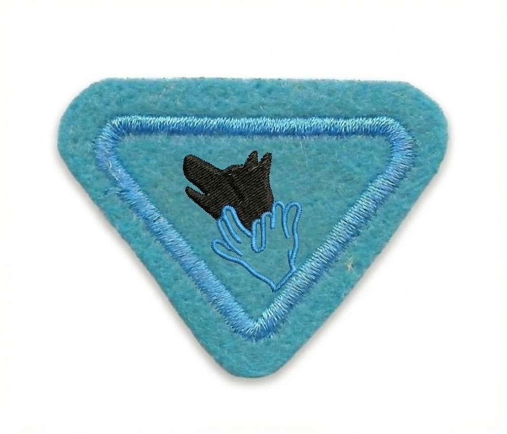 Arte com Sombras - AVT