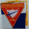 Bandeira Oficial DBV c/ franja