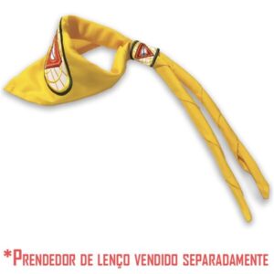 Lenço Diretoria DBV