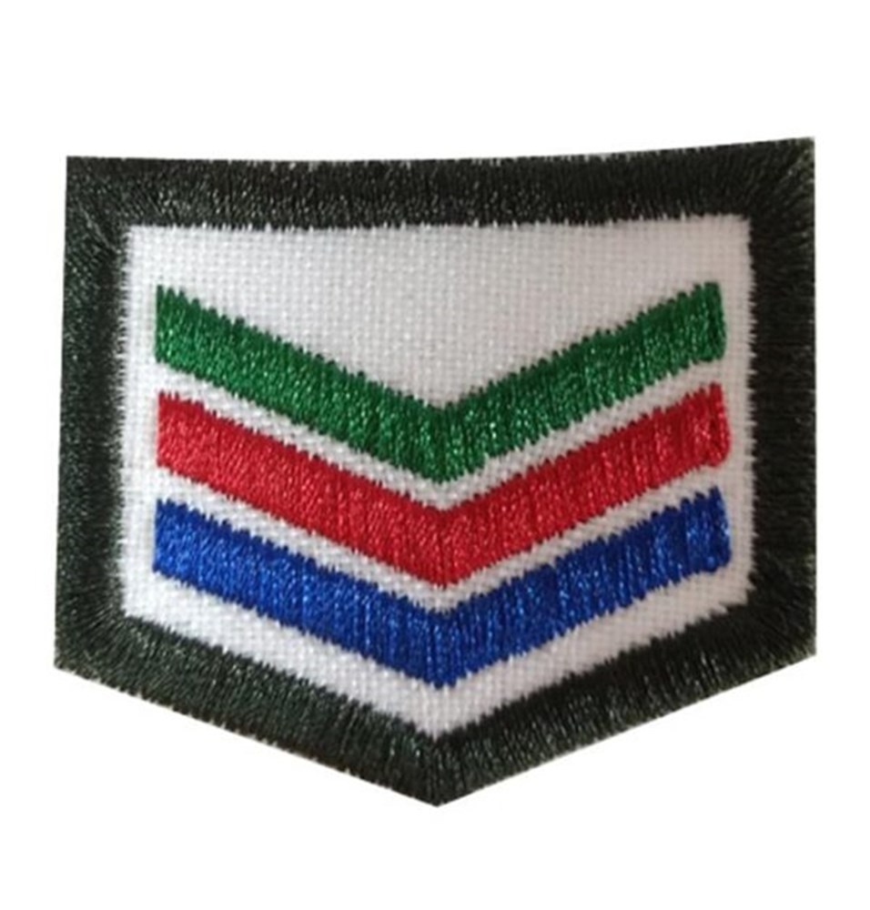 Divisa Amigo a Pesquisador - Fundo Branco