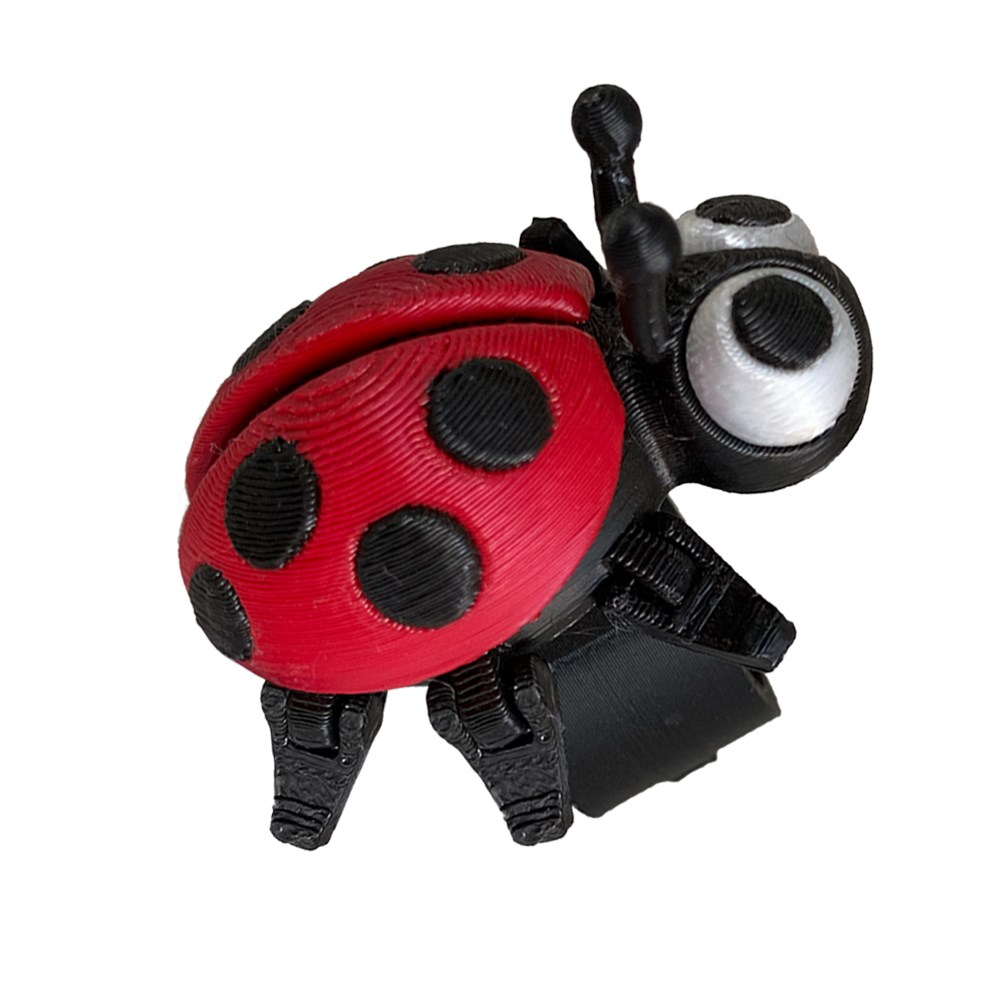 Arganel Joaninha - 3D