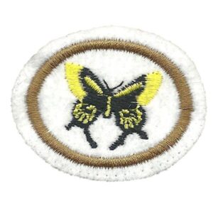 EN008 - Mariposas e Borboletas