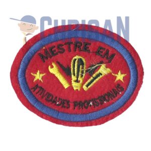 Mestrado - Atividades Profissionais