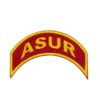 Tira de Campo ASuR - DBV
