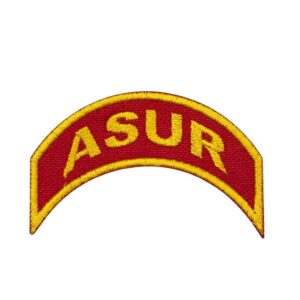 Tira de Campo ASuR - DBV