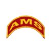 Tira de Campo AMS - DBV