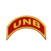 Tira de Campo UNB - DBV