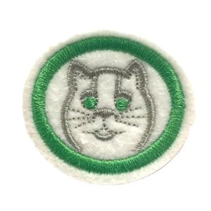 EN024 - Felinos