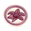 EN042 - Orquídeas