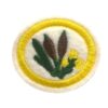 EN043 - Plantas Silvestres Comestíveis