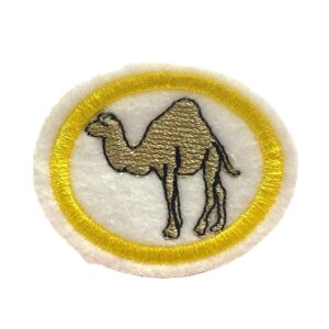 EN076 - Camelos