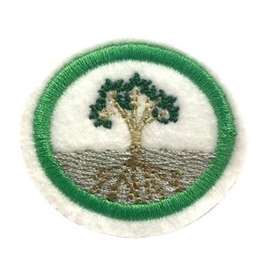 EN084 - Fisiologia Vegetal