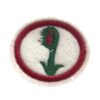 EN088 - Plantas Carnívoras