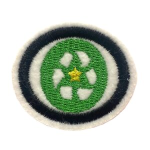 EN093 - Reciclagem e Sustentabilidade Avançado