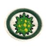 EN095 - Virus