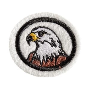 EN096 - Aves de Rapina